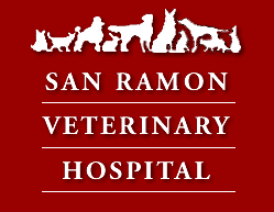 Veterinarian In San Ramon - 2480 San Ramon Valley Blvd - 925-837-0526