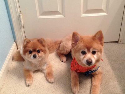 The sweetest babies!